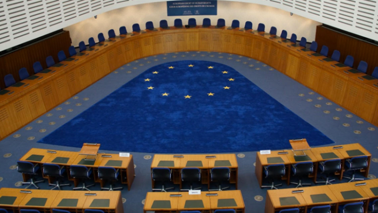 HS(Y)K’NIN VERDİĞİ MESLEKTEN ÇIKARMA KARARINA KARŞI ÖRNEK AİHM BAŞVURU FORMU