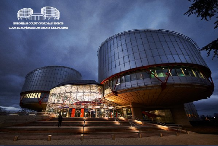 İTALYA İNSAN HAKLARI FEDERASYONU TARAFINDAN AVRUPA İNSAN HAKLARI SÖZLEŞMESİNİN 36. MADDESİ UYARINCA SUNULAN ÜÇÜNCÜ TARAF GÖRÜŞÜ