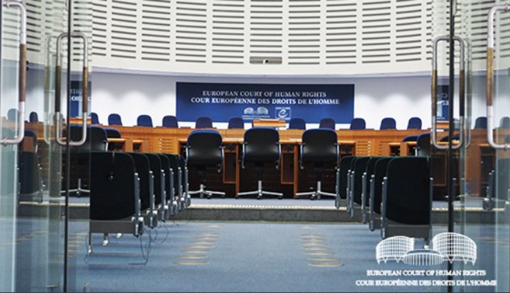 AİHM’İN TANER KILIÇ/TÜRKİYE KARARININ DEĞERLENDİRİLMESİ