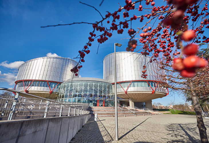 YASAL VE RUTİN FAALİYETLER CEZALANDIRMA GEREKÇESİ YAPILABİLİR Mİ?