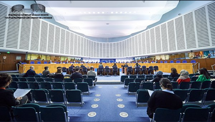 AİHM’İN RAGIP ZARAKOLU/TÜRKİYE KARARINA İLİŞKİN DEĞERLENDİRME