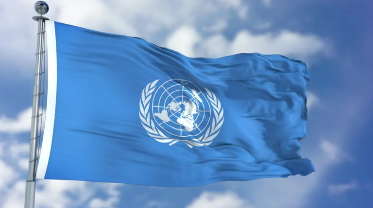 BİRLEŞMİŞ MİLLETLER HAKİMLERİN VE AVUKATLARIN BAĞIMSIZLIĞI ÖZEL RAPORTÖRÜNÜN TÜRKİYE MEKTUBU